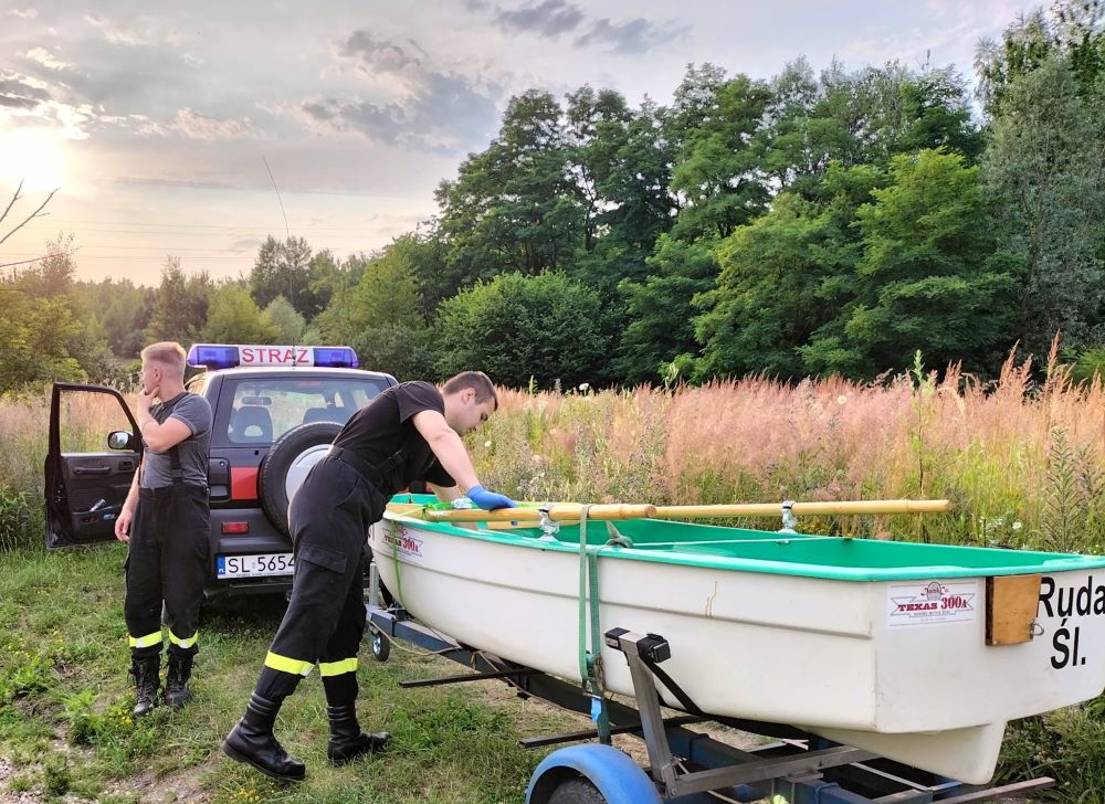 Truchło dzika w rozlewisku Kochłówki. Wody Polskie odmówiły podjęcia interwencji