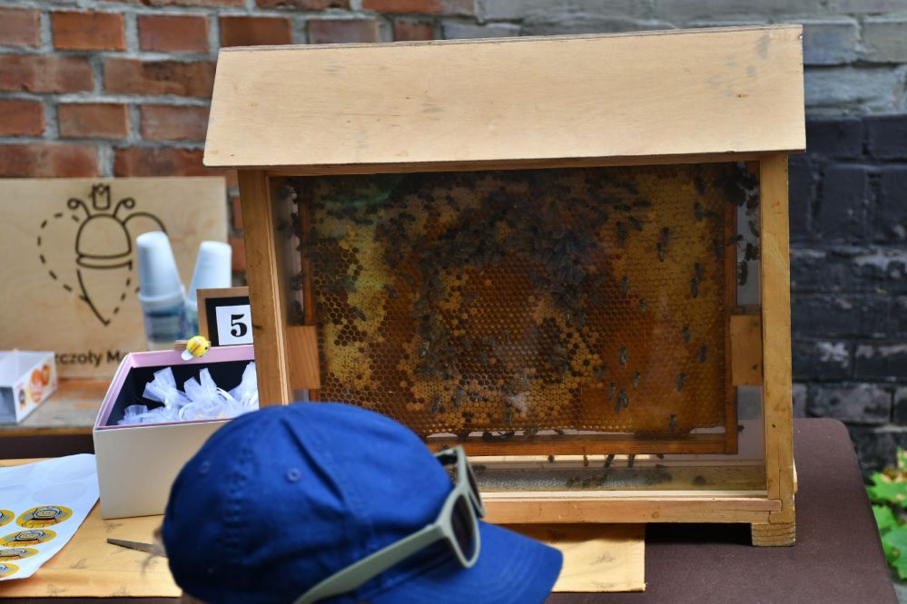 Ogród Śniadaniowy 26