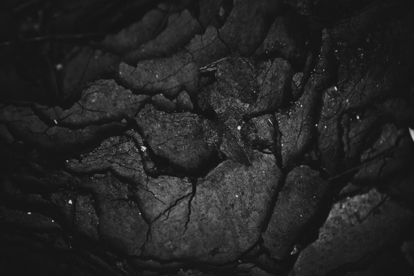 Przewoźnicy fałszowali oświadczenia przy zakupie węgla