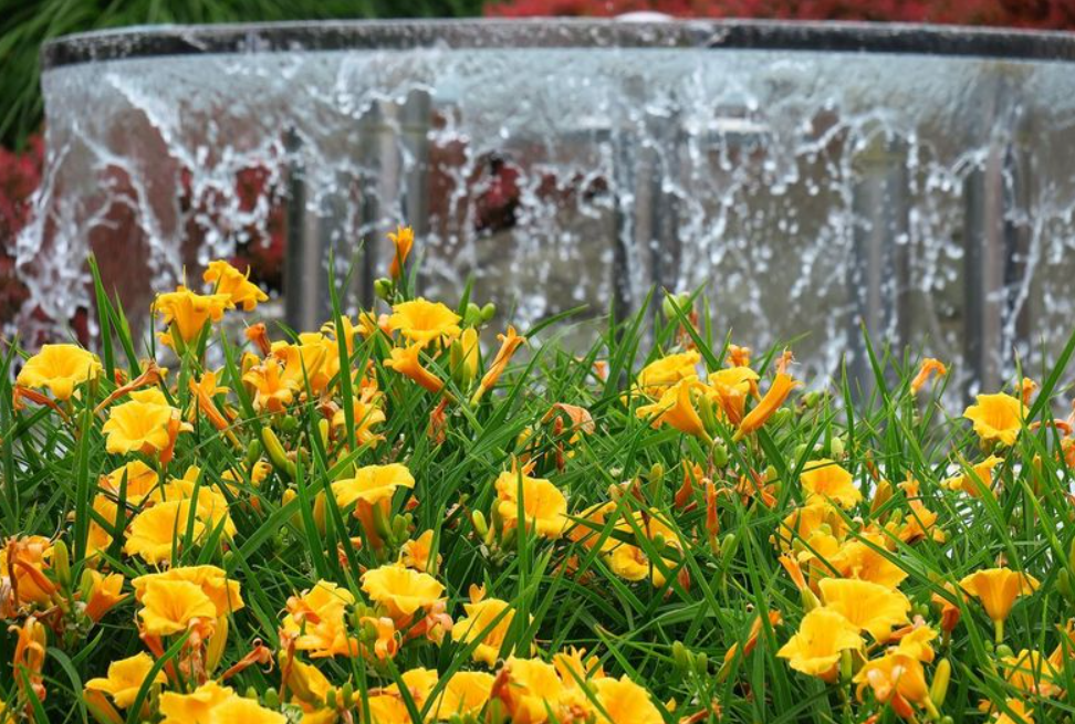 Lato w pełni w Rybniku. Jak z nadmiernym ciepłem radzić sobie w mieście?