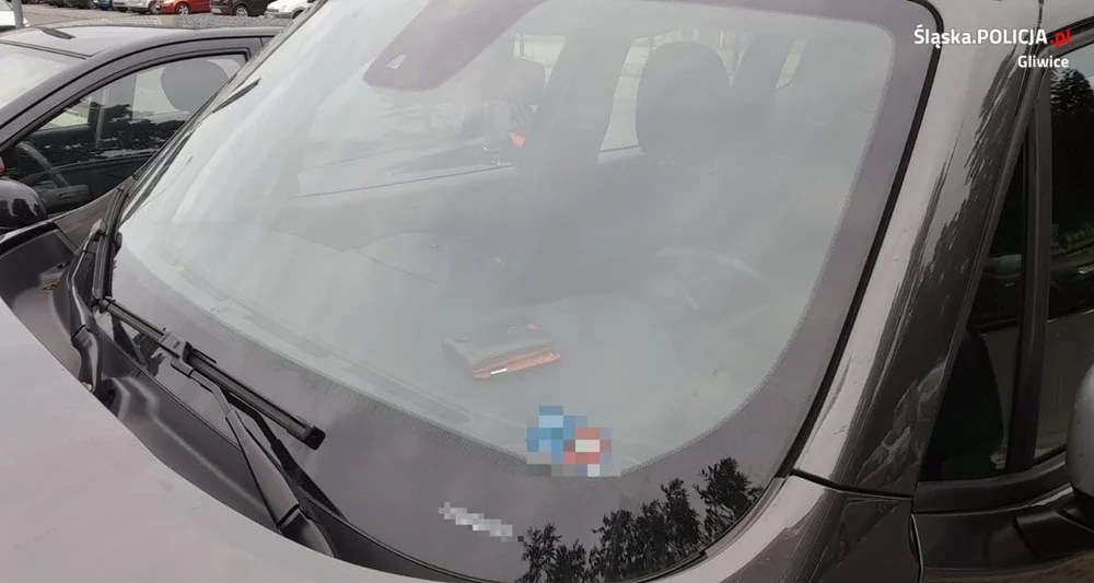 Gliwice: Kradzieże na terenach Miejsc Obsługi Podróżujących