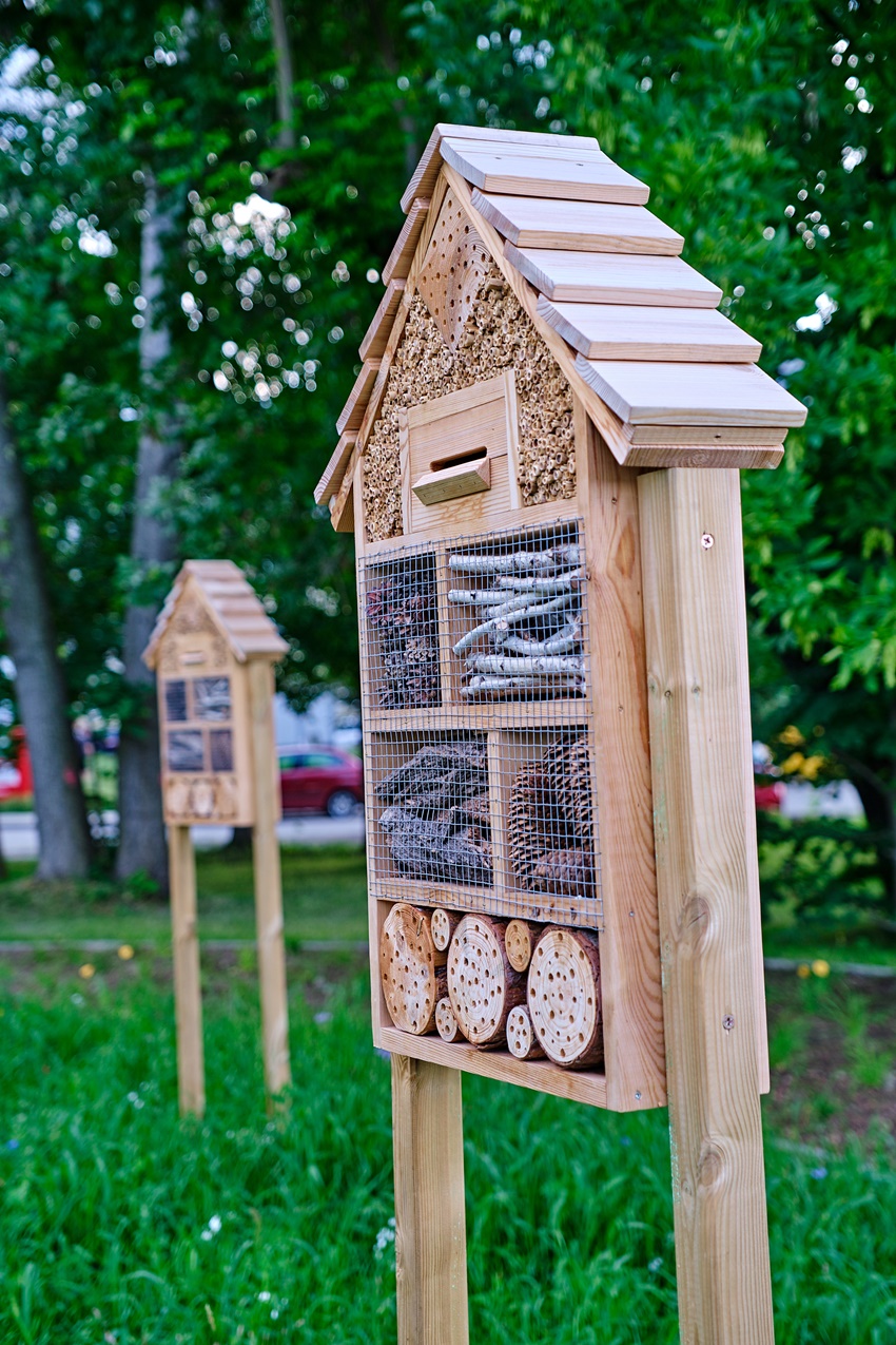 Nowy skwer w Sośnicy. Kolejne zielone miejsce na mapie Gliwic