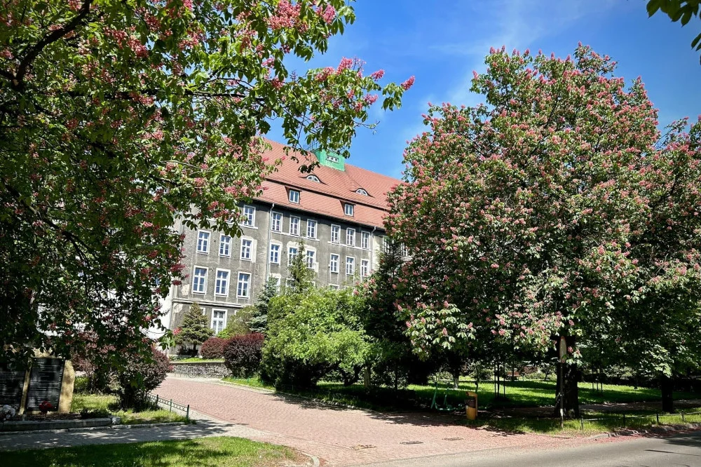 Duże zainteresowanie bytomskimi szkołami ponadpodstawowymi. Zakończyła się rekrutacja
