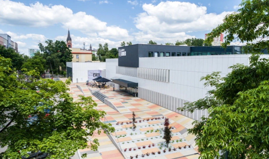 "Woda i Tusz". Wystawa rysunku Małgorzaty Brodzińskiej w sosnowieckiej bibliotece