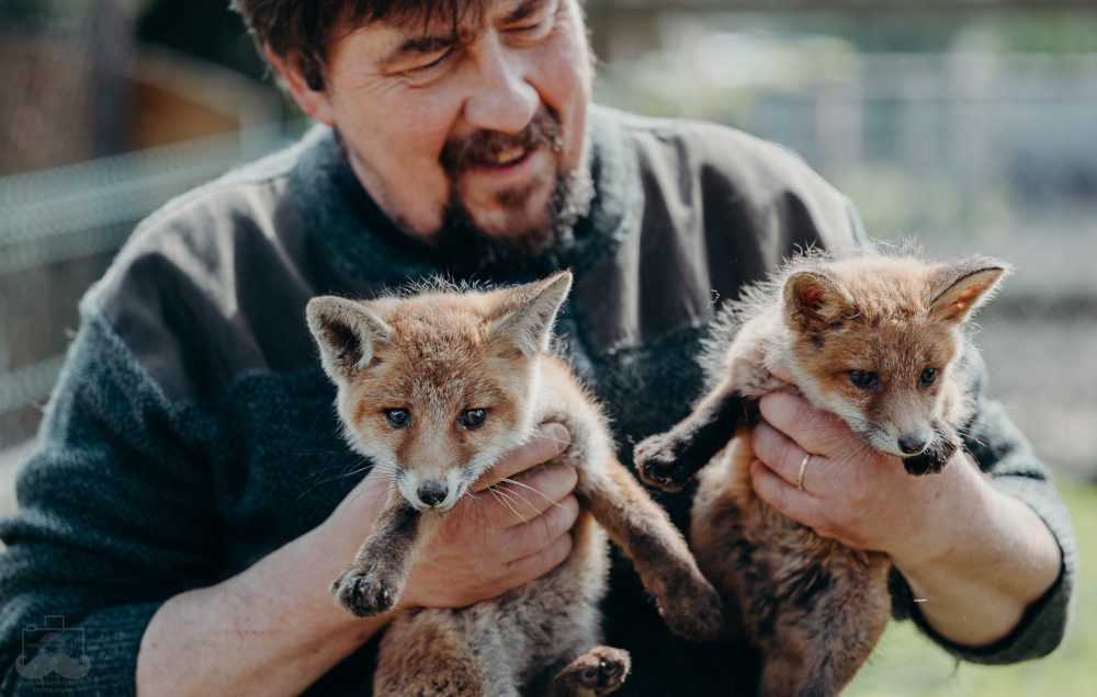 Leśne Pogotowie w Mikołowie po 30 latach przestanie istnieć? To może być efekt CPK