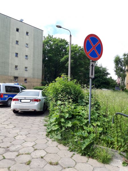 "Wyzwanie parkowanie!" w wykonaniu Straży Miejskiej. Jak wypadli katowiczanie?