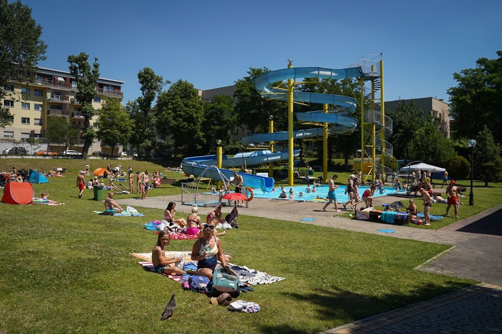 W próbkach pobranych z katowickich basenów pojawiła się pałeczka ropy błękitnej!