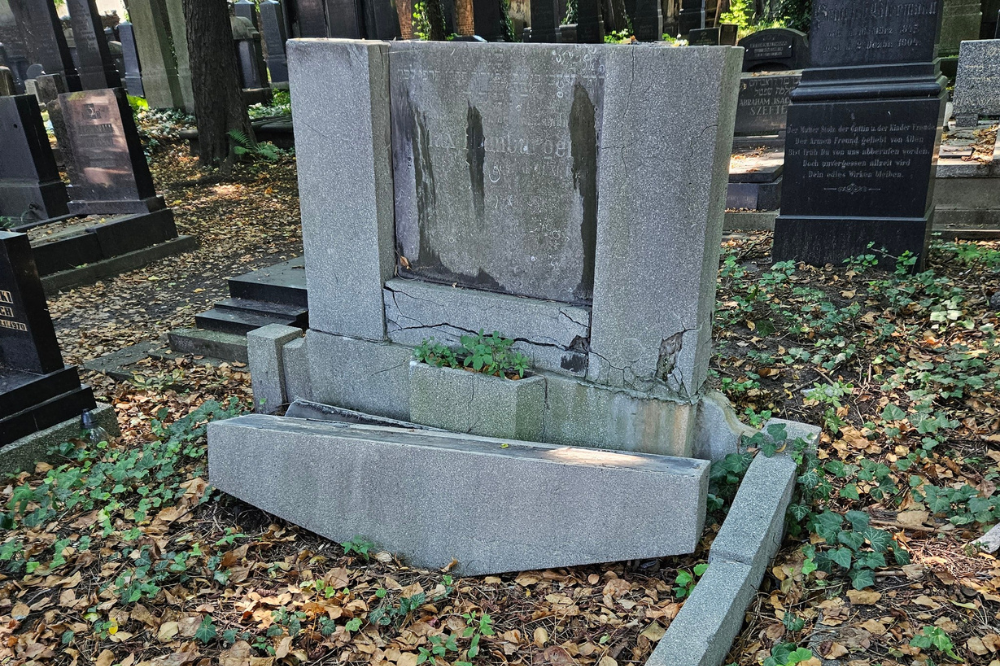 Dewastacja cmentarza żydowskiego w Katowicach. Skala strat przeraża