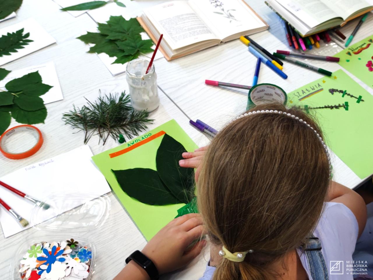 "Magiczna moc ziół" w katowickiej bibliotece 8