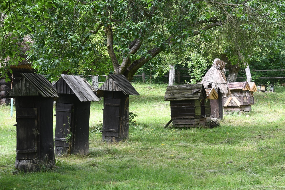 Dzień Miodu w chorzowskim skansenie 6