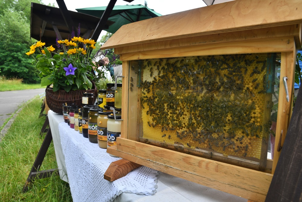 Dzień Miodu w chorzowskim skansenie 16