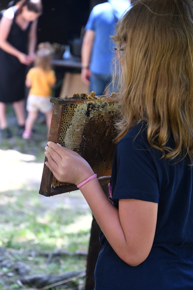 Dzień Miodu w chorzowskim skansenie 28