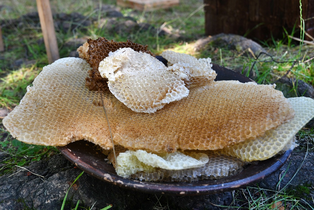 Dzień Miodu w chorzowskim skansenie 30