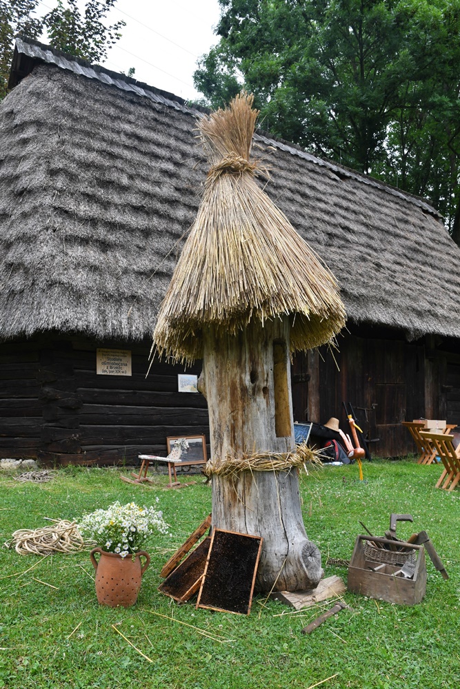 Dzień Miodu w chorzowskim skansenie 48