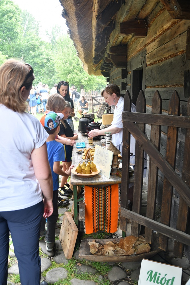 Dzień Miodu w chorzowskim skansenie 66