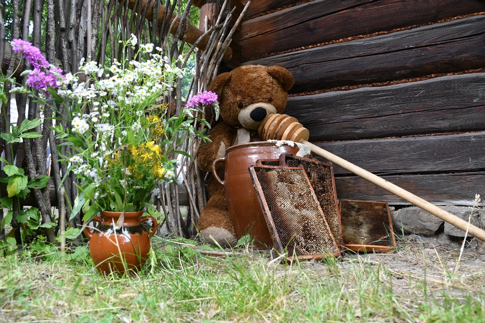 Dzień Miodu w chorzowskim skansenie 70