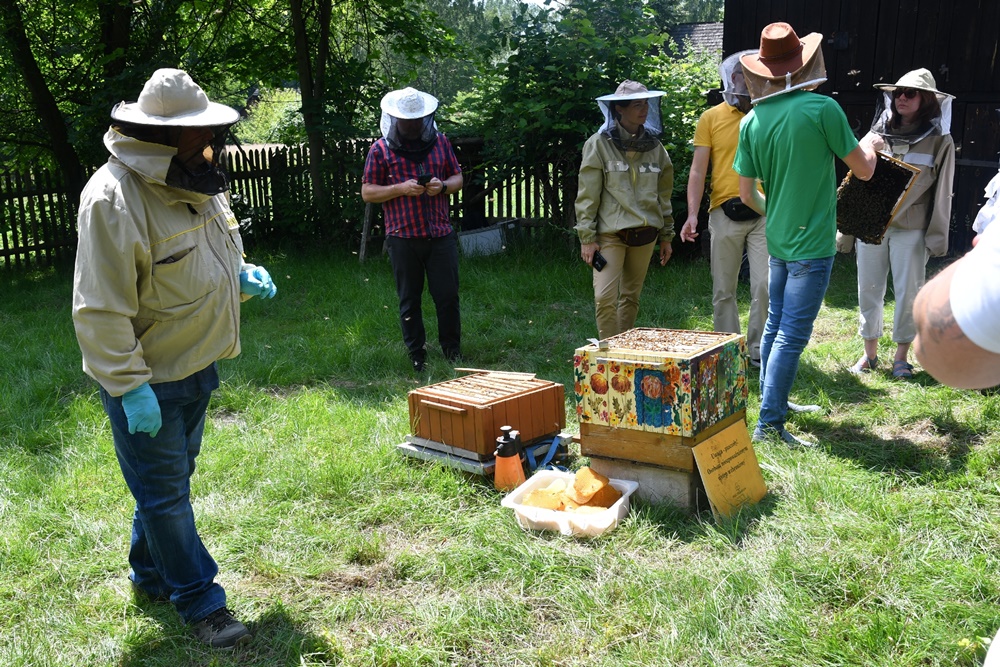 Dzień Miodu w chorzowskim skansenie 82