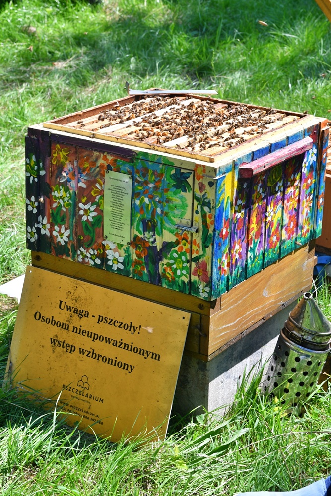 Dzień Miodu w chorzowskim skansenie 88