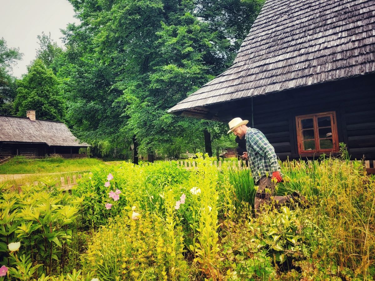 Skansen w Chorzowie szuka wakacyjnych wolontariuszy do opieki nad roślinnością