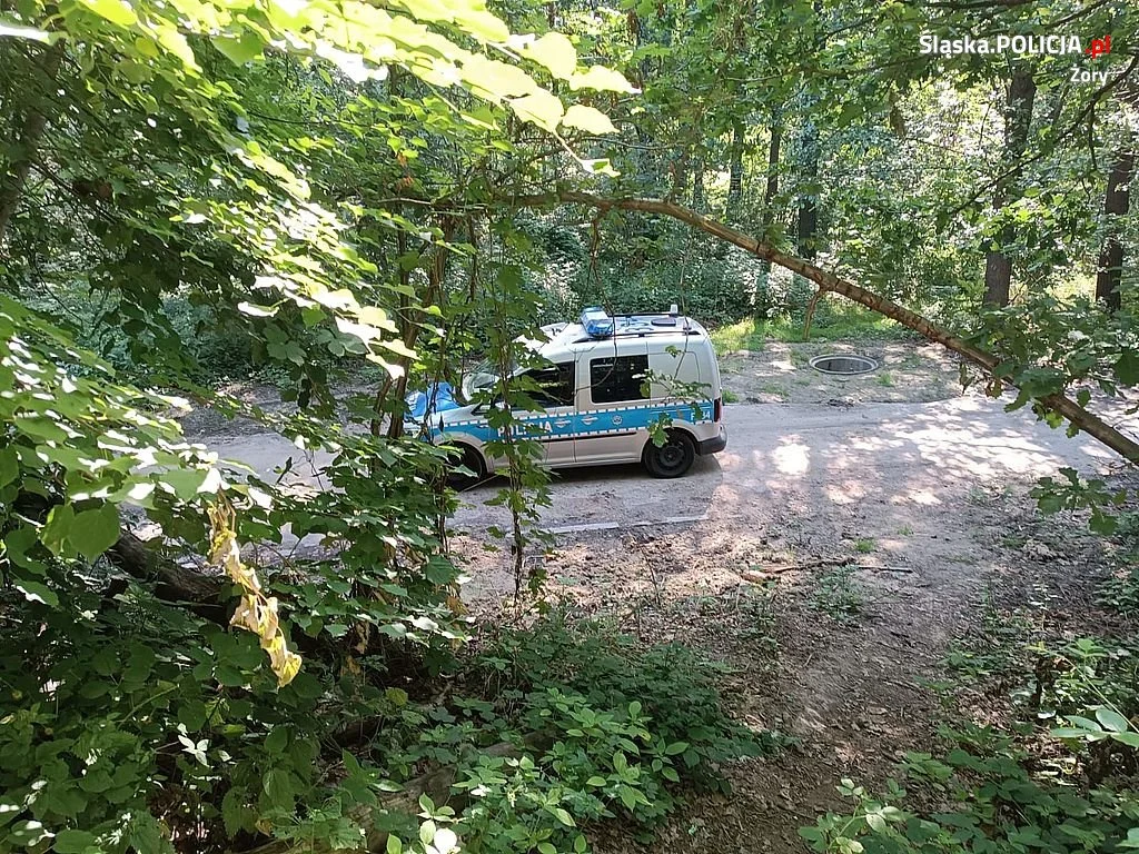 Policyjny pościg za 23-letnia sprawczynią kradzieży. Kobieta była poszukiwana