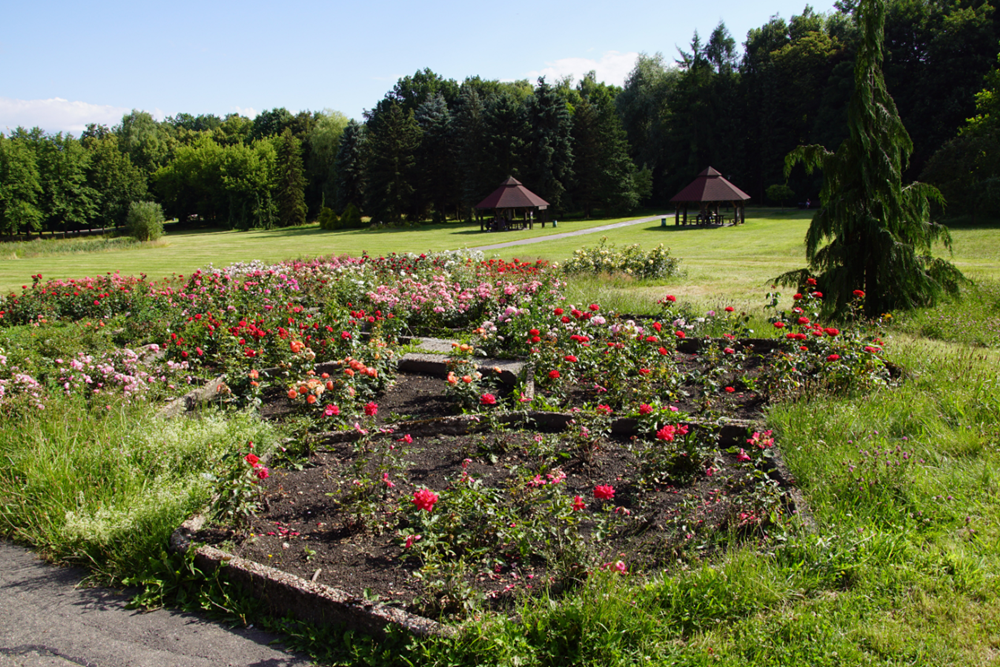 Chorzów: Kapitan Guliwer zaprasza do Rosarium w Parku Śląskim