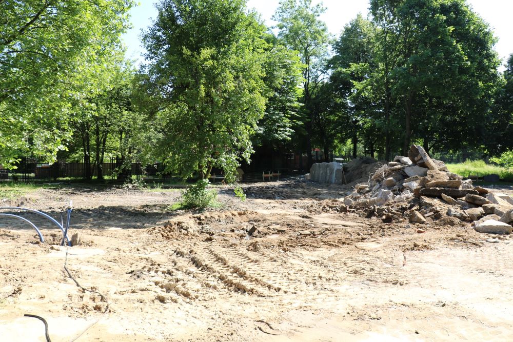 W Śląskim ZOO ruszyła budowa nowej lwiarni!