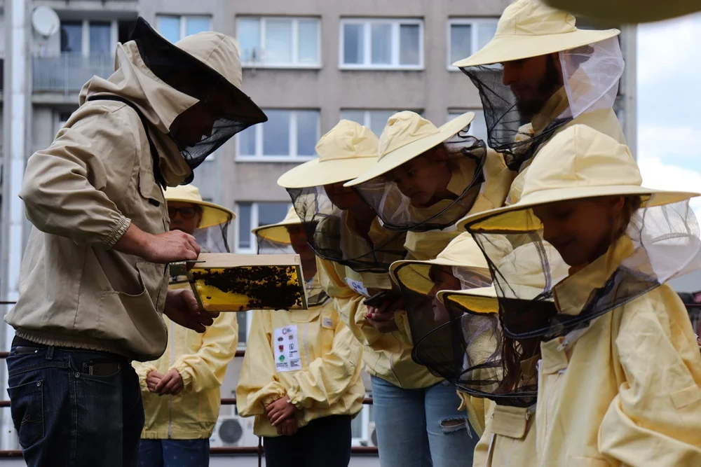 Warsztaty pszczelarskie z Chorzowskim Centrum Kultury. Kiedy kolejne zajęcia?