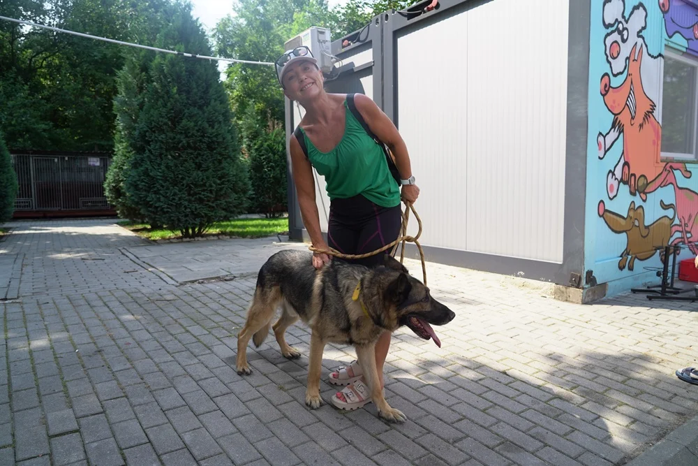 Chorzowskie schronisko zorganizowało "kundelkowe spacerki". Zobacz zdjęcia!