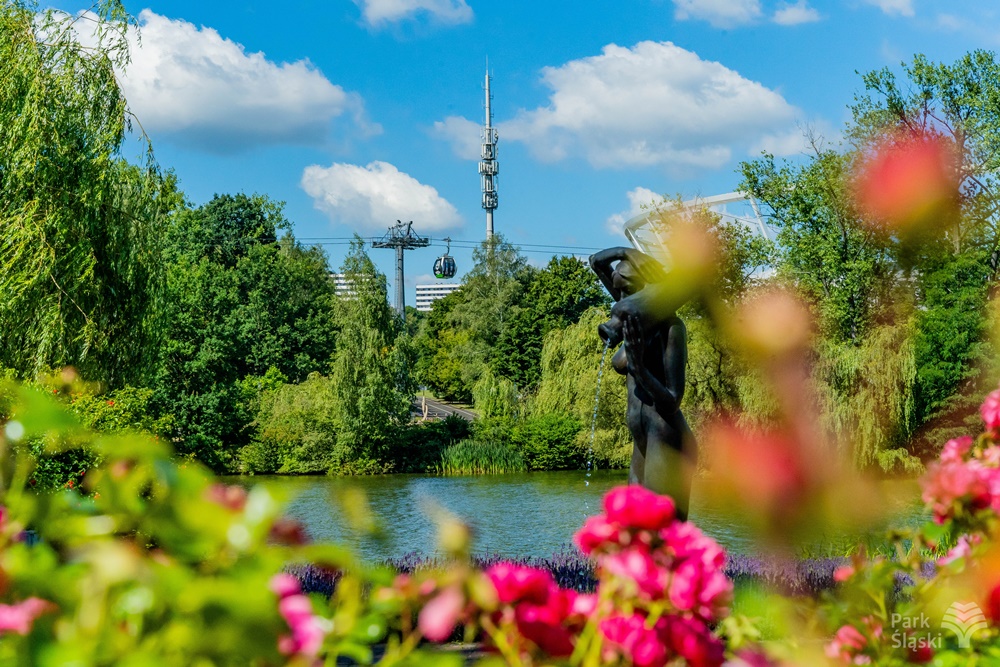 Kolejka Linowa Elka wraca do regularnego kursowania! Trwa budowa drugiej linii