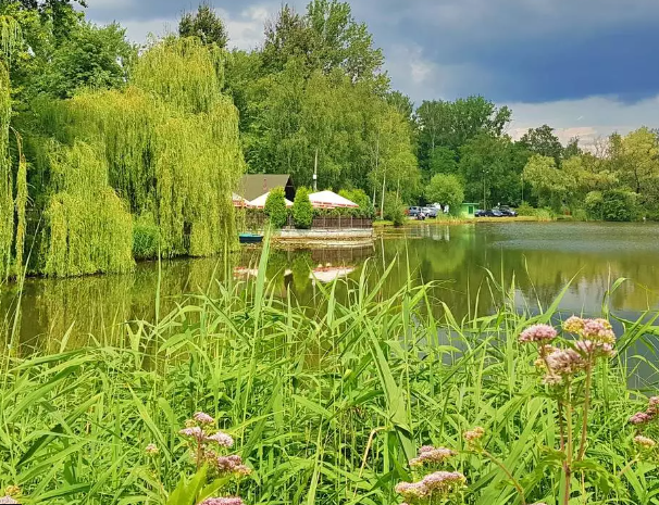Koncert Braci Stechek w Chorzowie. Muzyczna impreza w Dolinie Górnika