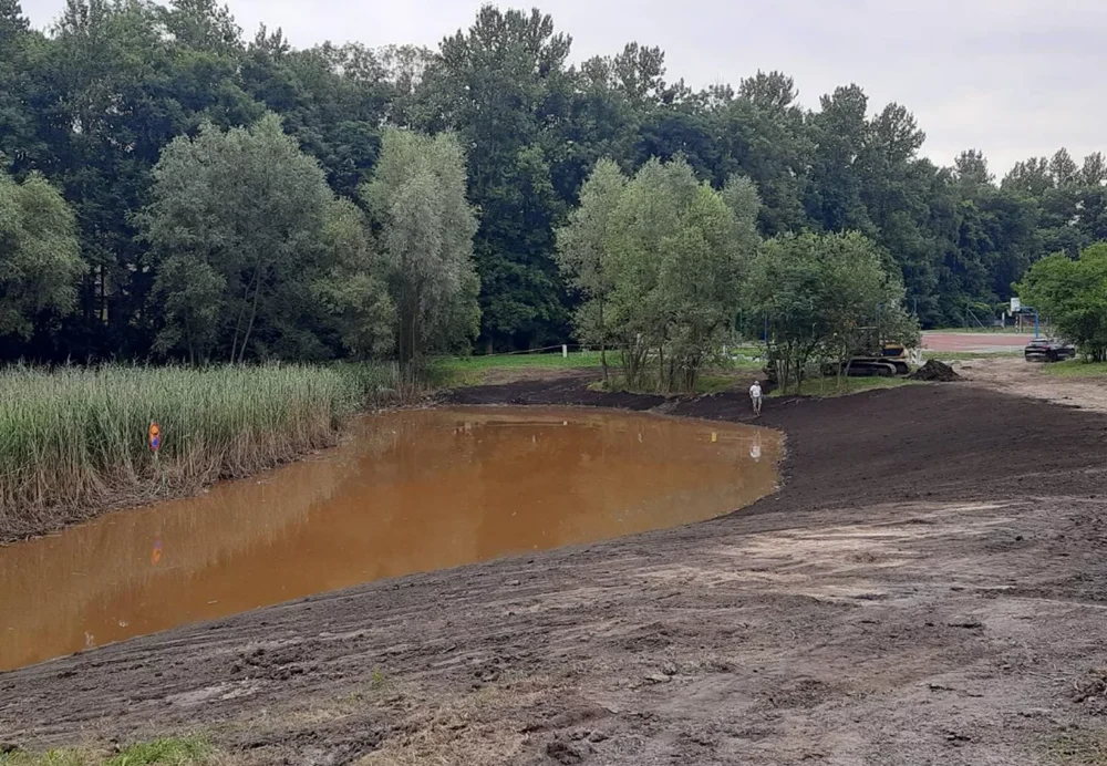 Świętochłowice: Oczko wodne na Osiedlu Brzezina oczyszczone