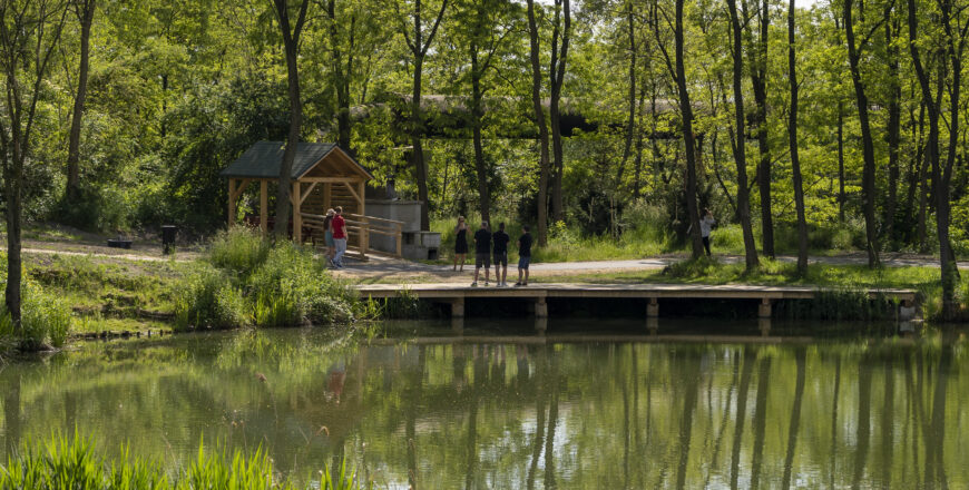 Odkryj nowości rekreacyjne! Zabrze zaprasza do tężni i Geoparku