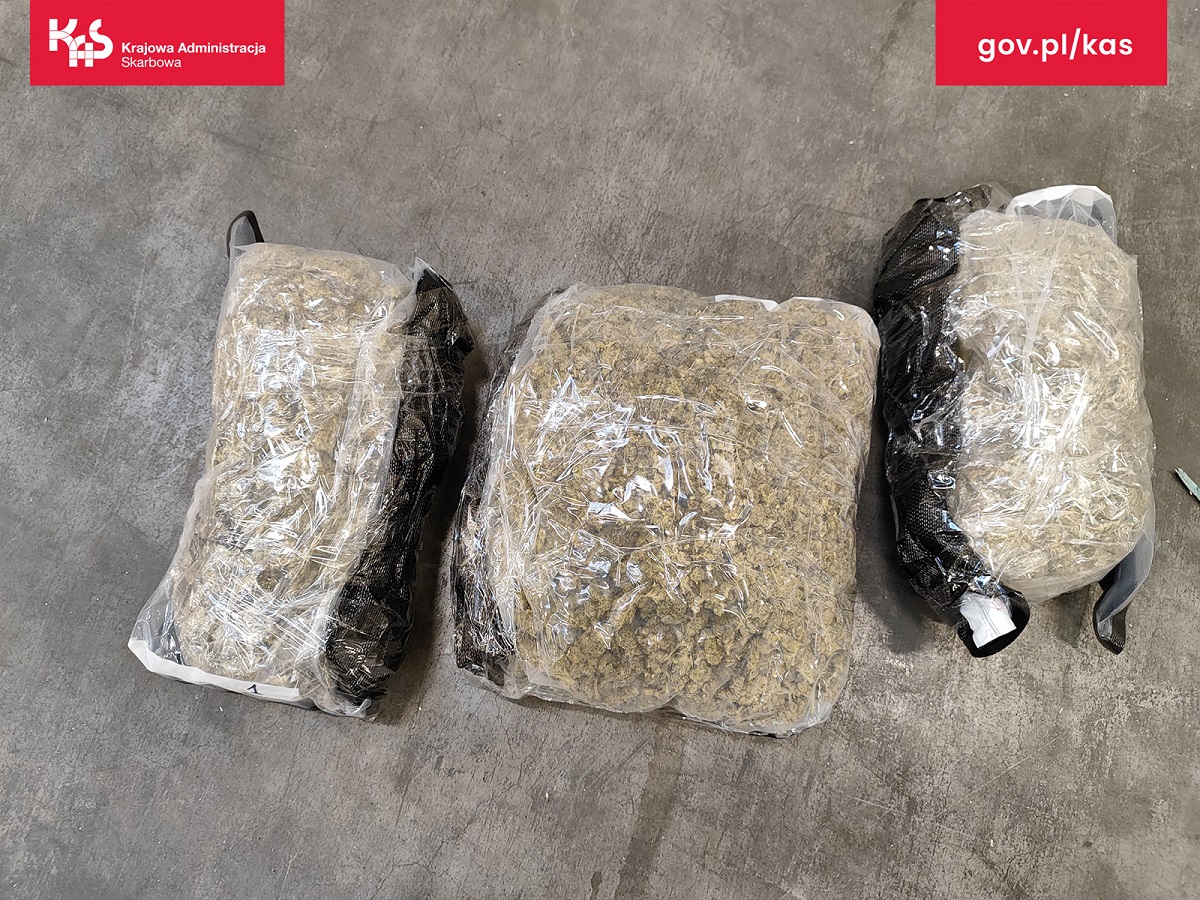 Kontrola celno-skarbowa w Zabrzu. W przesyłce znaleziono blisko 2 kg nielegalnego suszu