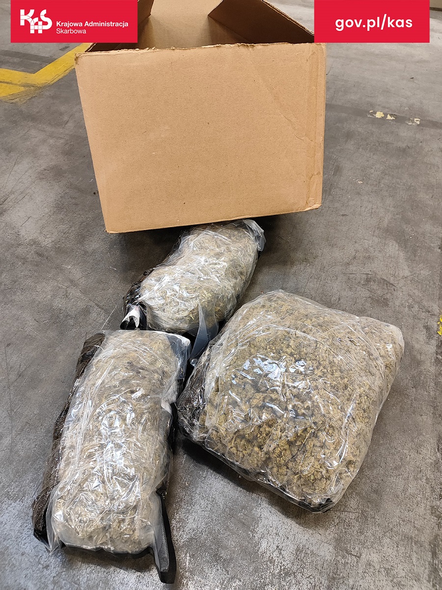 Kontrola celno-skarbowa w Zabrzu. W przesyłce znaleziono blisko 2 kg nielegalnego suszu