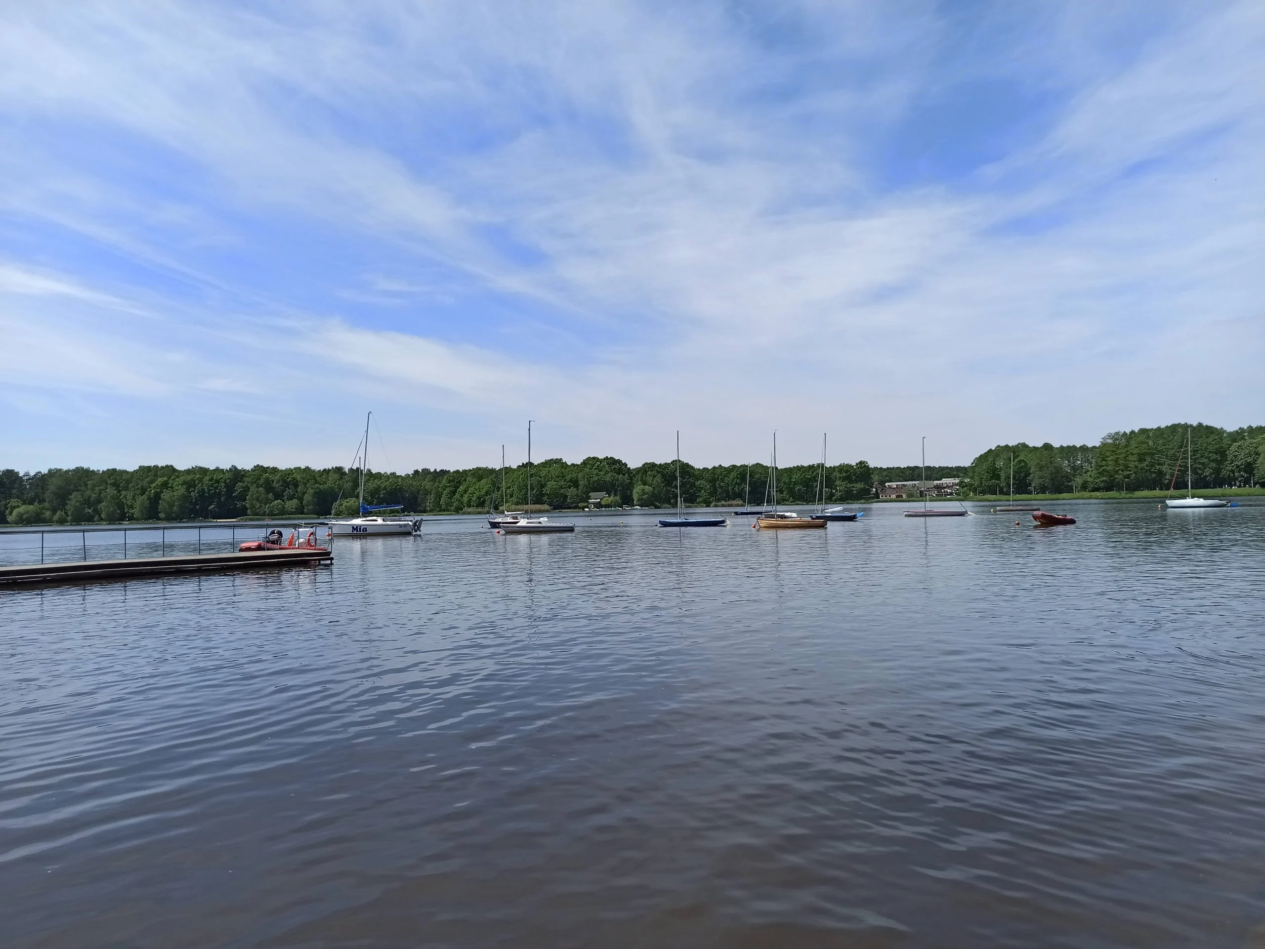 IMG_20210604_135517.jpg