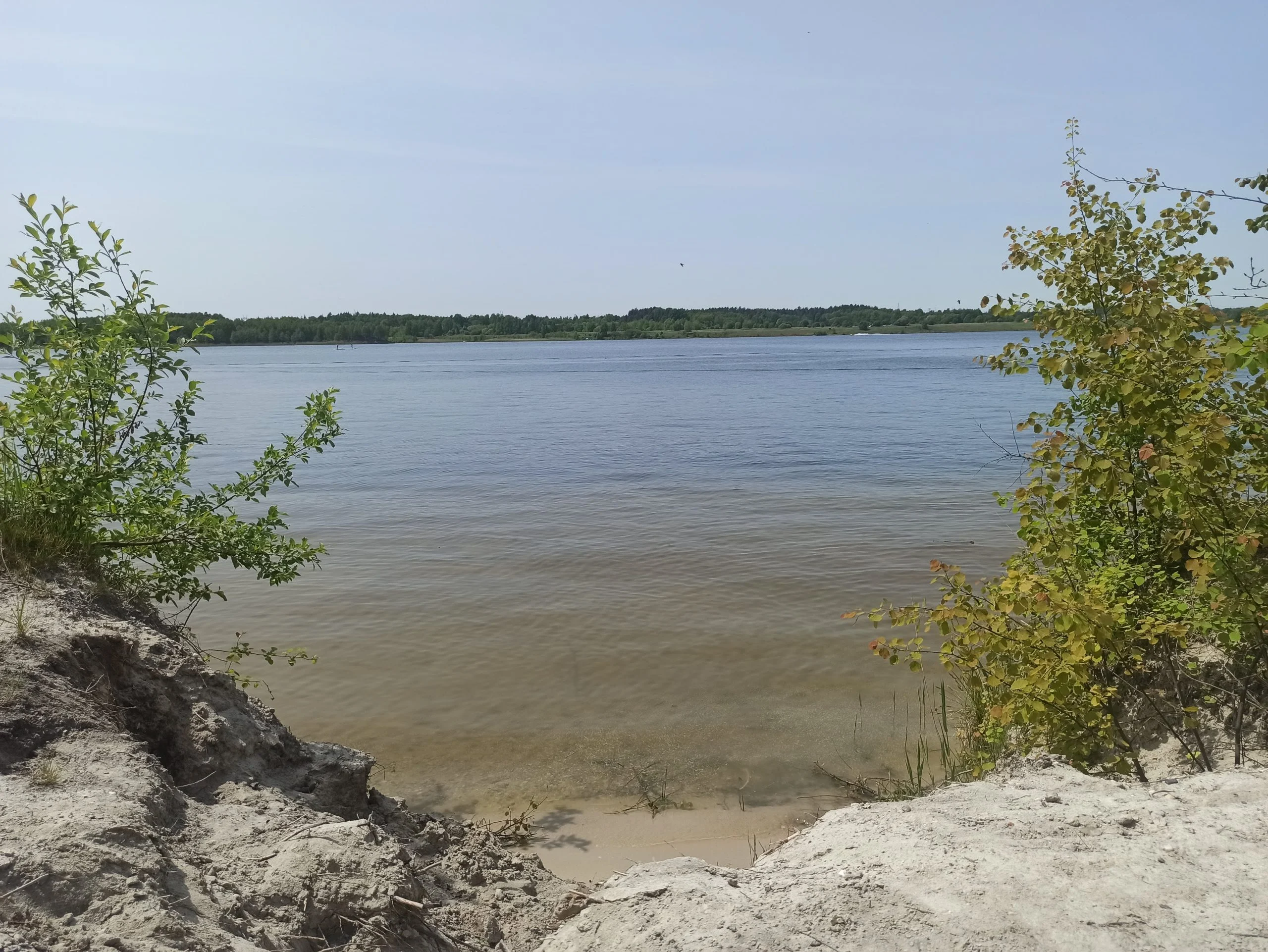 IMG_20230528_130551.jpg