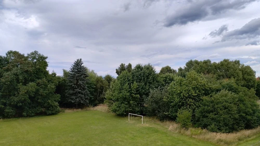 Trwa wycinka zagajnika przy ul. Chryzantem. Czy realizowana jest zgodnie z prawem?