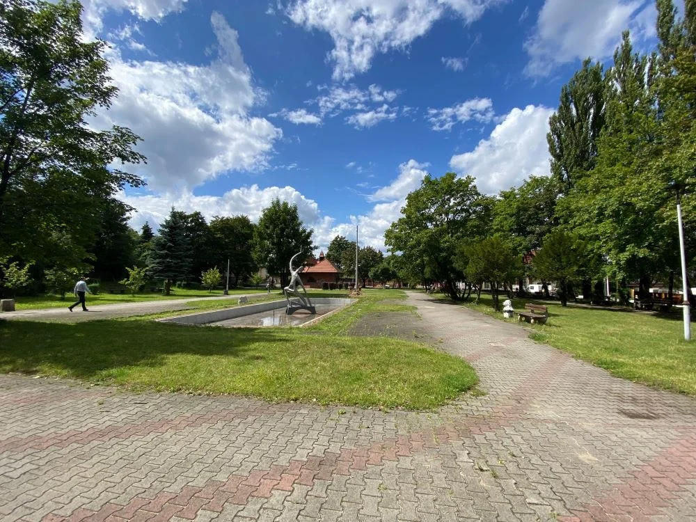 Kolejne tereny zielone zostaną na nowo zagospodarowane. Będą konsultacje społeczne