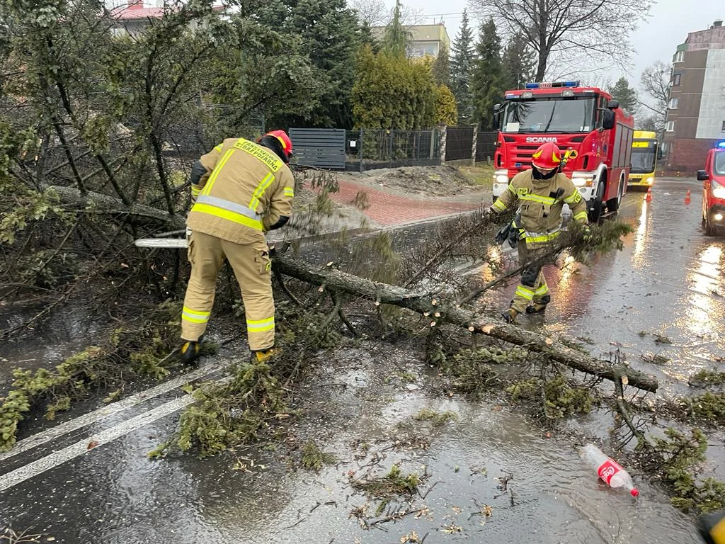 Nawałnica w województwie śląskim. Strażacy interweniowali ponad 290 razy!