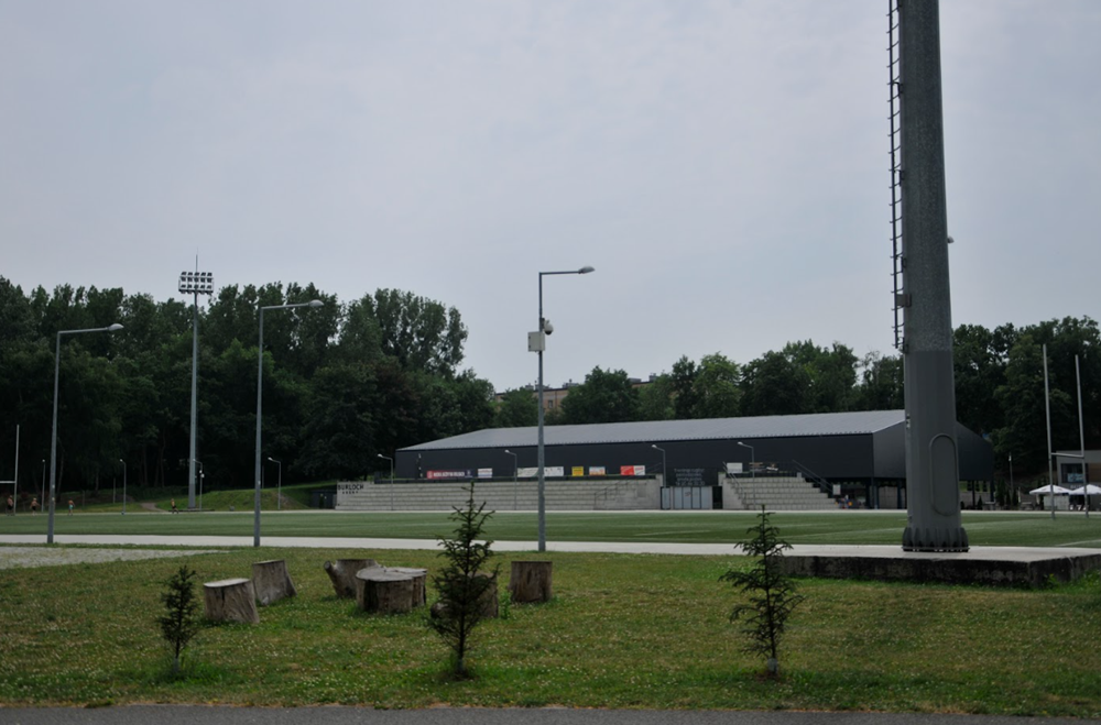 IX Bieg - Marsz dla Zdrowia Psychicznego w Rudzie Śląskiej. Zgłoś swój udział!