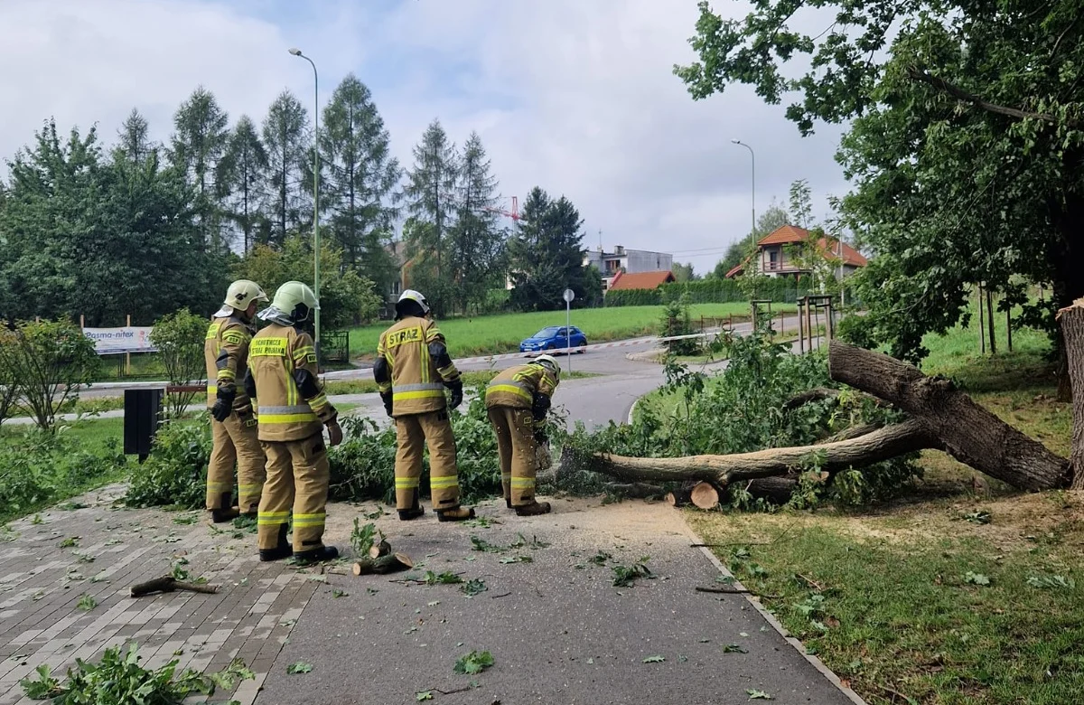 Powalone drzewa, zalane posesje, budynki i drogi. Przez nasze województwo przeszły gwałtowne burze