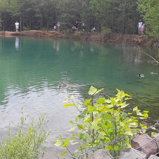 20230608_133039.jpg