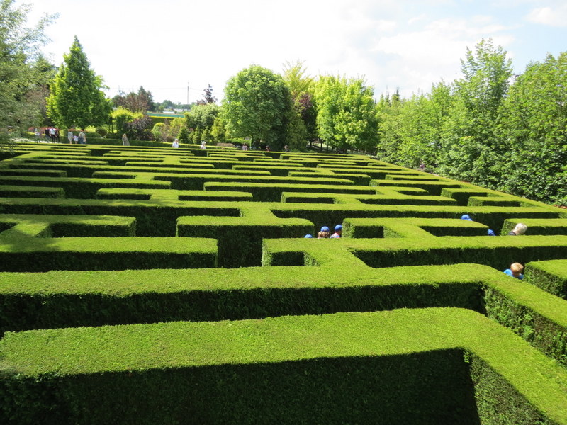 Moc atrakcji w Wiśle oraz Pszczynie – trzeci turnus półkolonii w DK „Chemik”