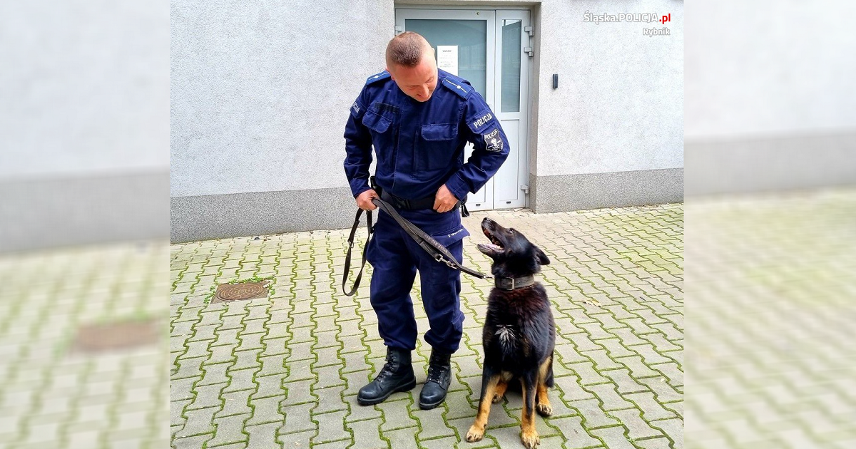 Podziękowania dla rybnickich policjantów. Pomogli rannemu mężczyźnie