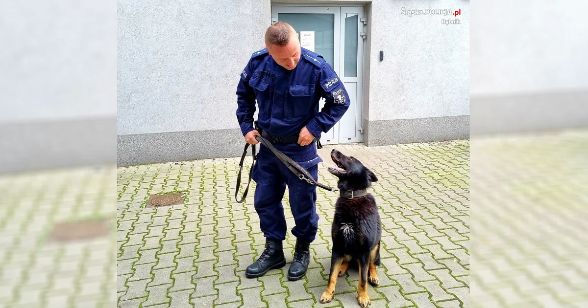 Podziękowania dla rybnickich policjantów. Pomogli rannemu mężczyźnie