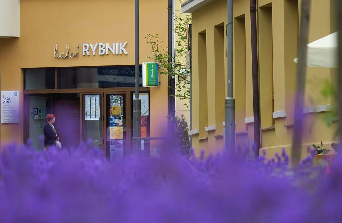 O parku kulturowym z Miejskim Konserwatorem Zabytków