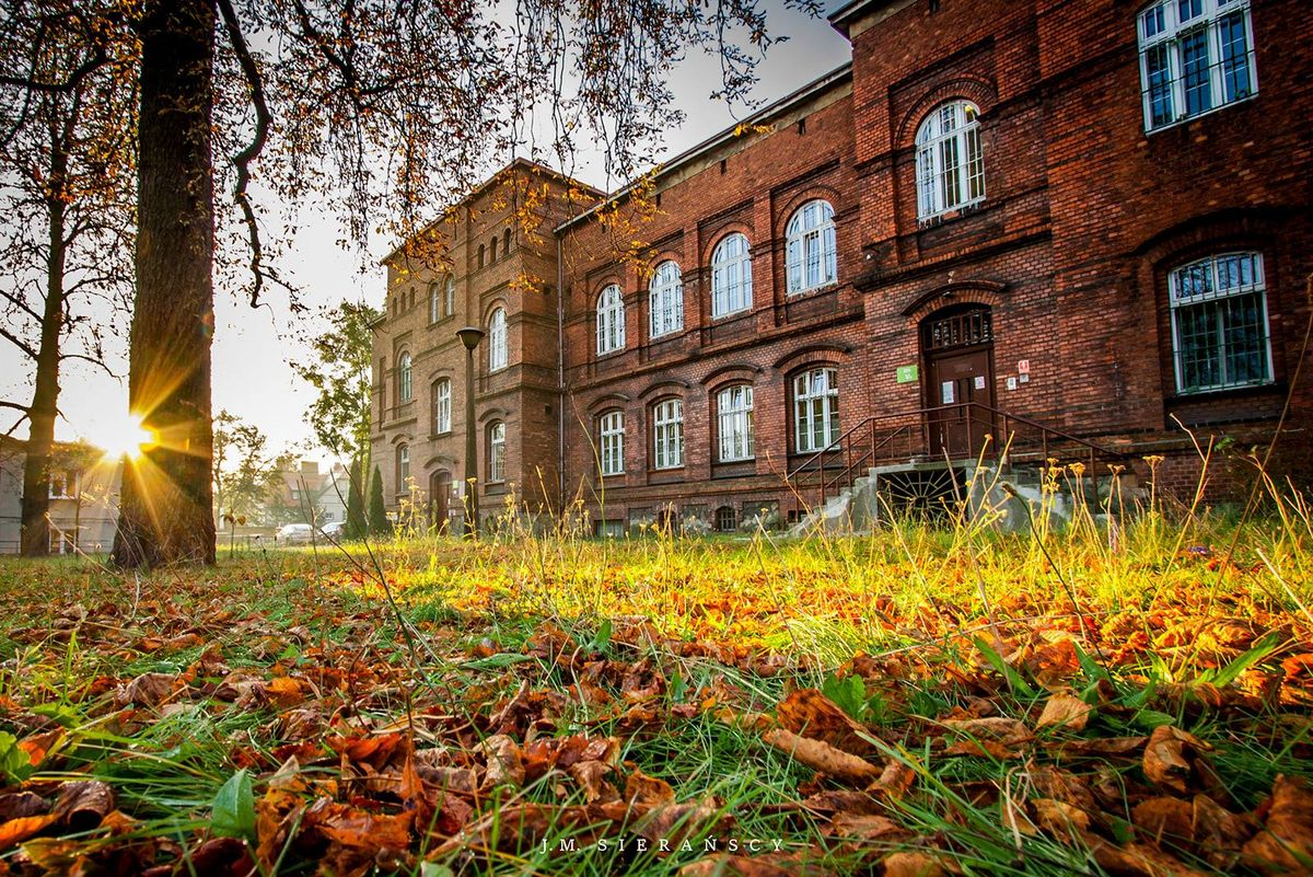 Spacerkiem przez Park "Psychiatryka"