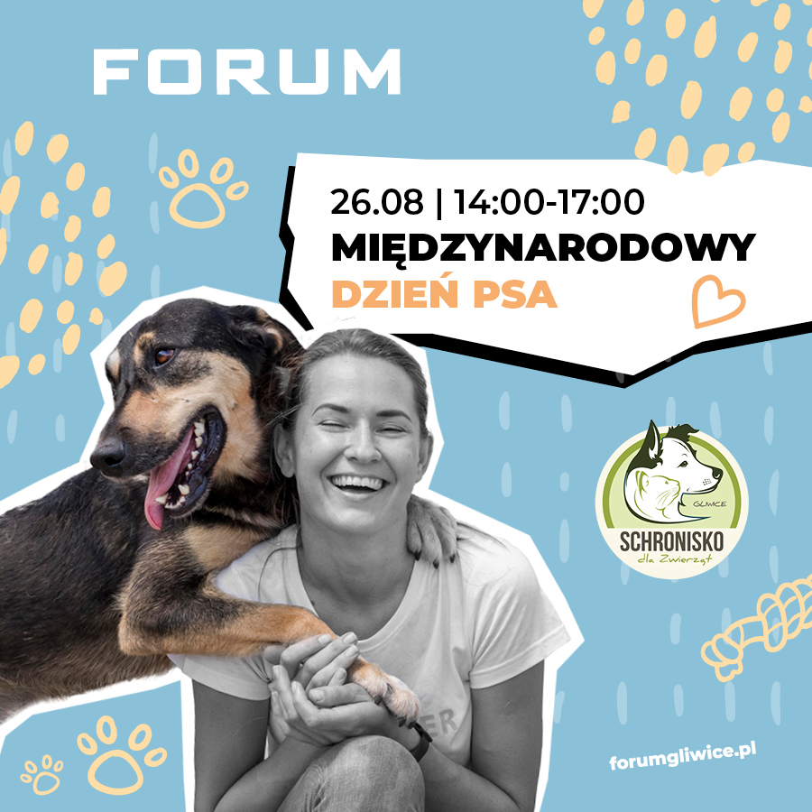 26 Międzynarodowy Dzień Psa w Gliwicach. 20 zwierzaków czeka na nowy dom