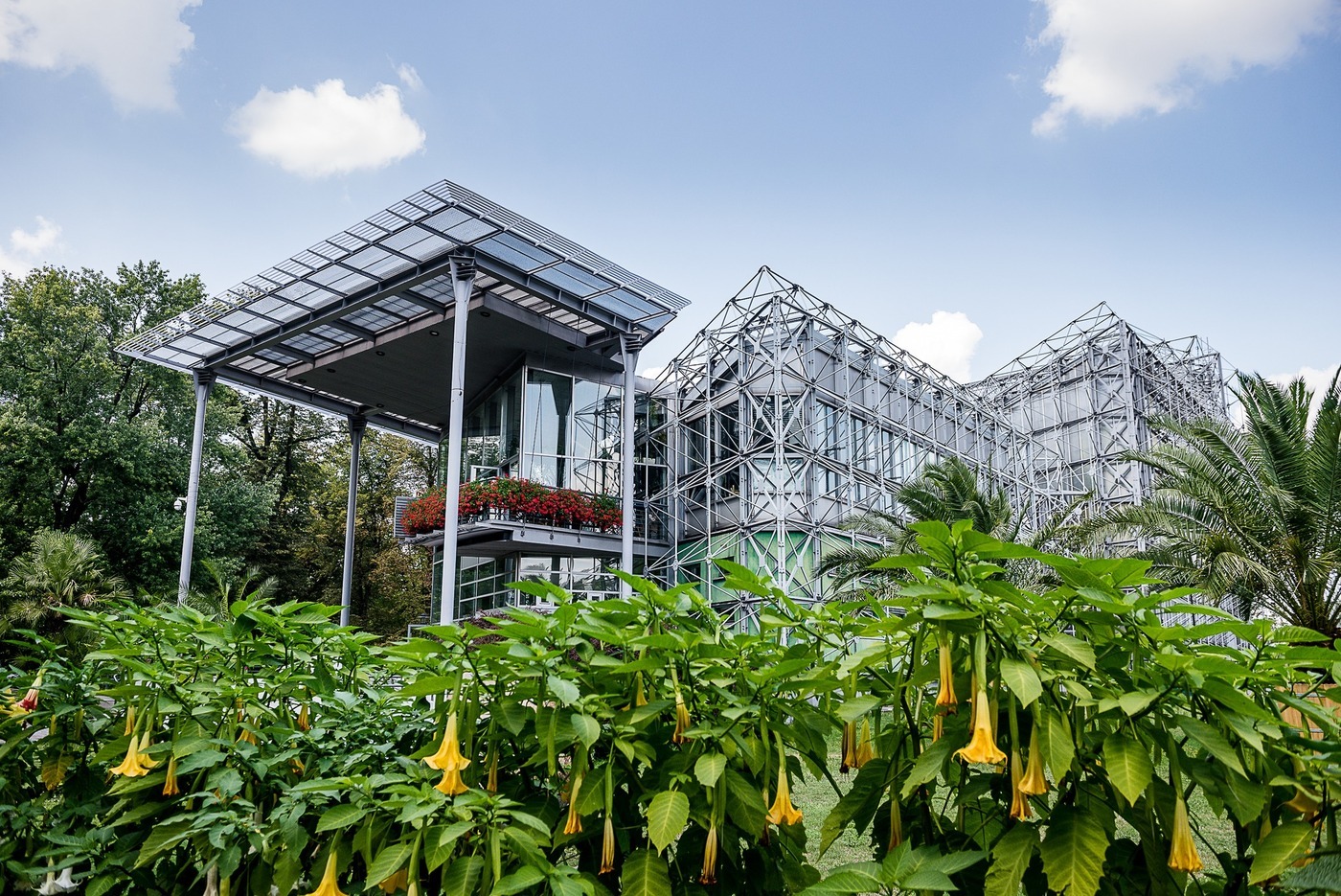Gliwicka Palmiarnia zaprasza. Nie przegap wystawy fotograficznej „Storczyki Polski”