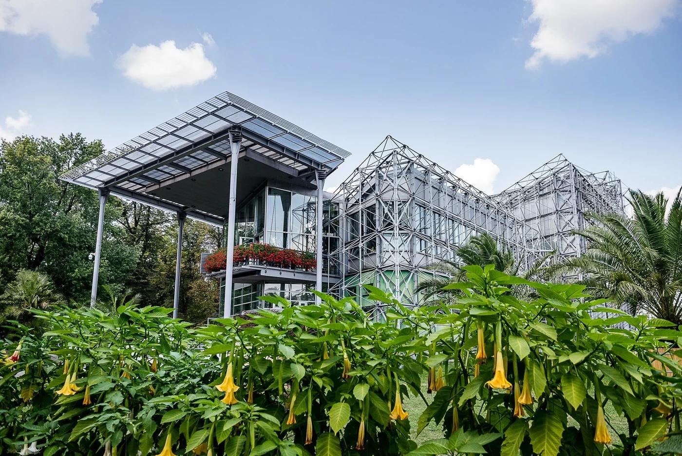 Gliwicka Palmiarnia zaprasza. Nie przegap wystawy fotograficznej „Storczyki Polski”